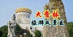 操无法毛小骚逼视频中国浙江-绍兴大香林旅游风景区
